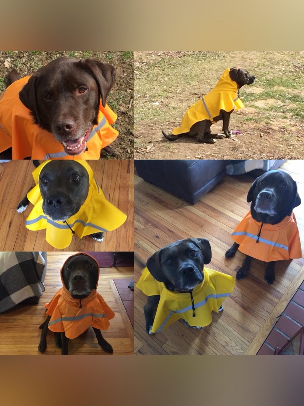 High-Visibility Orange Dog Rain Cape with Reflective Trim
